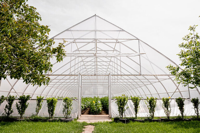 Polyhouse Complex POLYHOUSE DEVELOPMENT – Aquahyd : Setting up commercial hydroponic ...